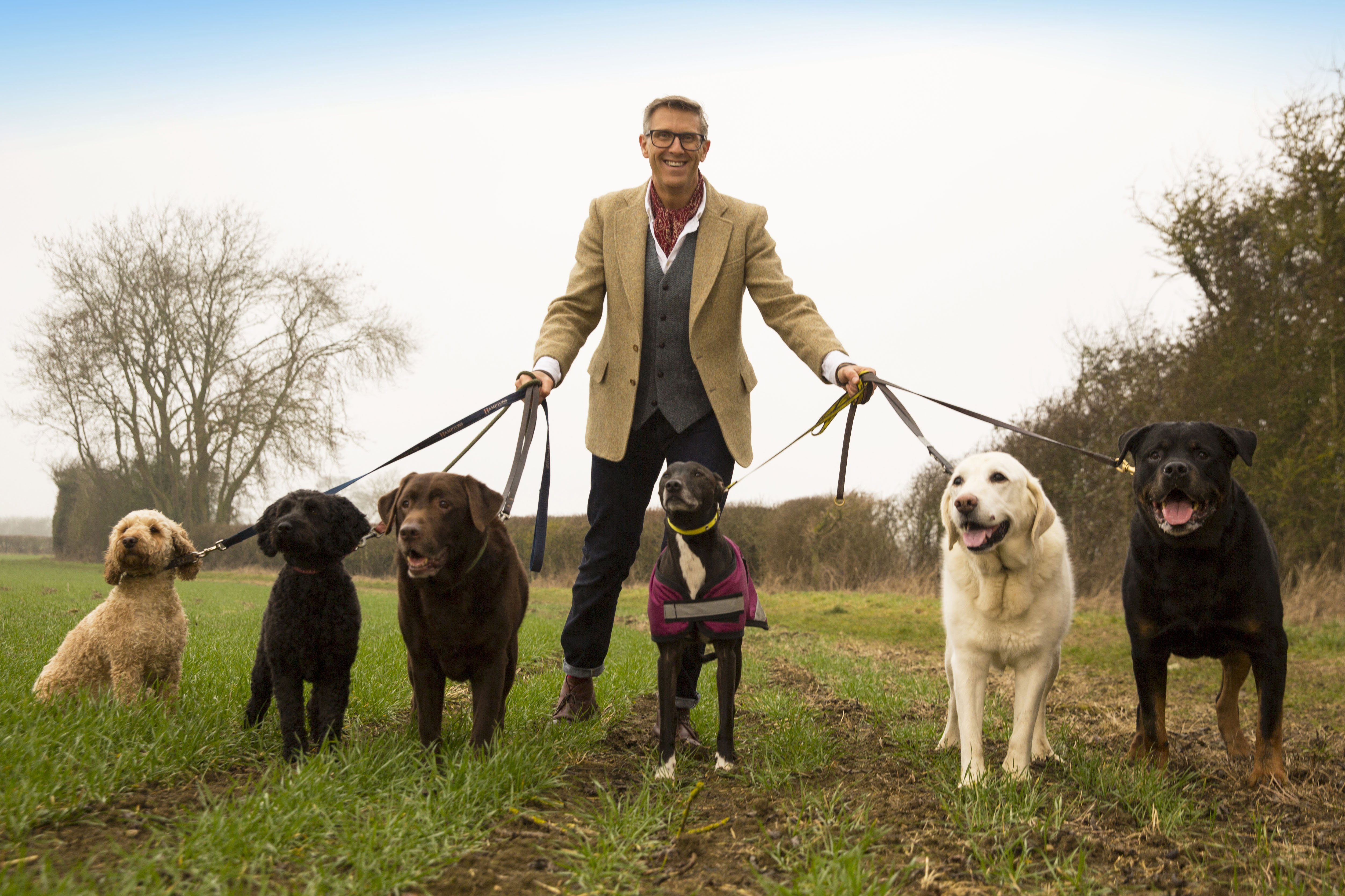 CHANNEL 4 TO LAUNCH BRAND NEW DOG SHOW WITH MAJOR NEW CANINE MANAGEMENT EXPERT TO COINCIDE WITH CRUFTS