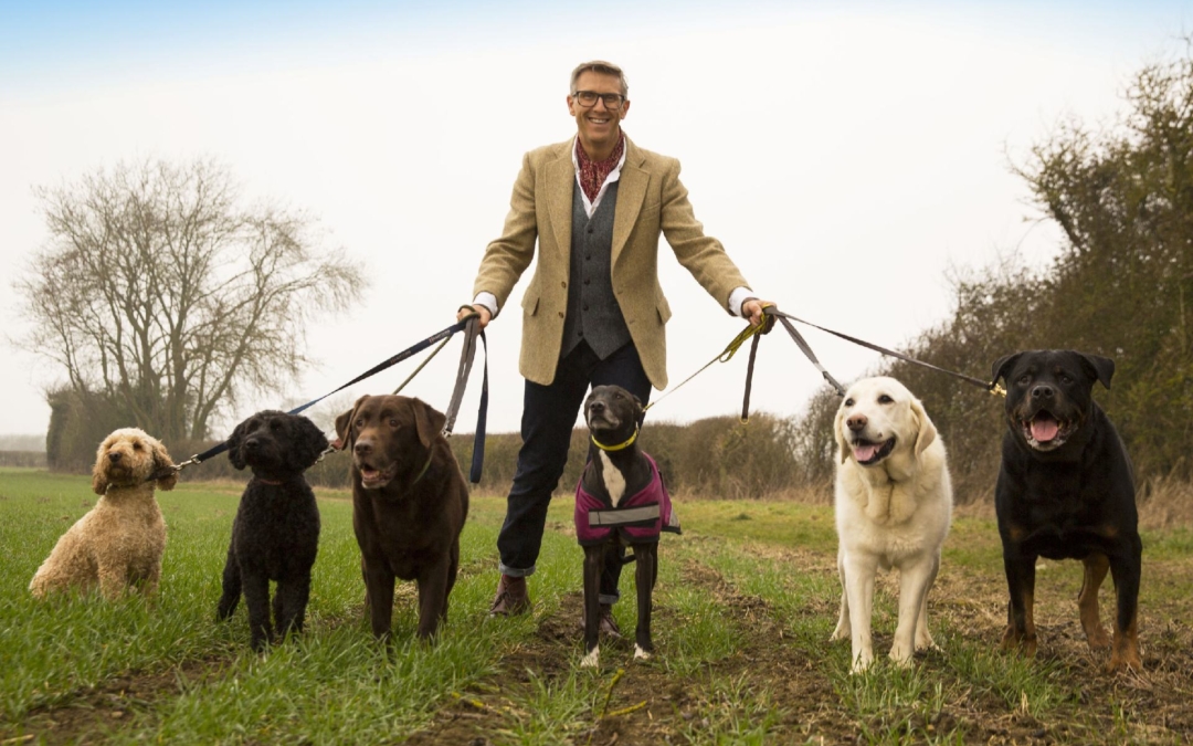 CHANNEL 5 GOES TO THE DOGS… FOURTH RUN COMMISSIONED FOR RATINGS HIT SHOW