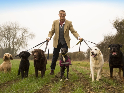 CHANNEL 5 GOES TO THE DOGS… FOURTH RUN COMMISSIONED FOR RATINGS HIT SHOW