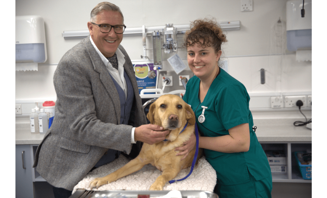 GRAEME HALL TO EMBARK ON A NEW JOURNEY WITH BRAND NEW CHANNEL 5 SERIES ‘THE DOG HOSPITAL WITH GRAEME HALL’