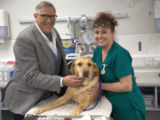 GRAEME HALL TO EMBARK ON A NEW JOURNEY WITH BRAND NEW CHANNEL 5 SERIES ‘THE DOG HOSPITAL WITH GRAEME HALL’