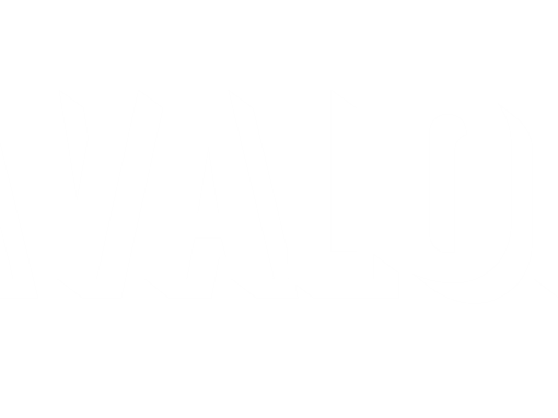 AVALON ANNOUNCE FIRST WAVE OF ARTISTS ON THEIR EDINBURGH FESTIVAL FRINGE 2026 LINE-UP