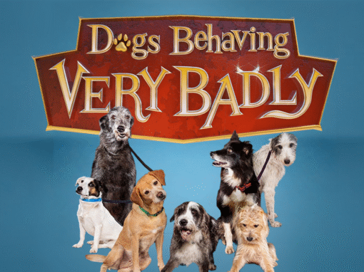 UK HIT FORMAT DOGS BEHAVING (VERY) BADLY OFF THE LEASH IN CENTRAL EUROPE AS HUNGARY’S TV2 BECOMES FIRST TO ORDER NON-ENGLISH LANGUAGE VERSION
